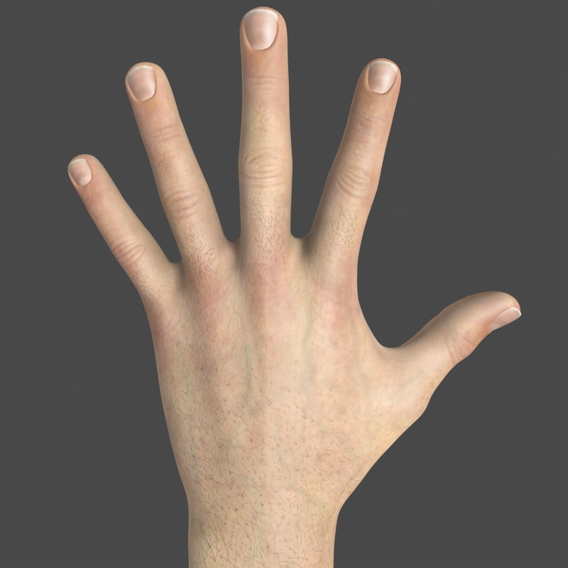 hand reference for 3d modeling