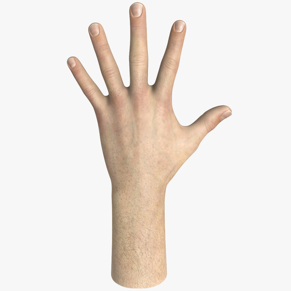 male hand modeled 3d model
