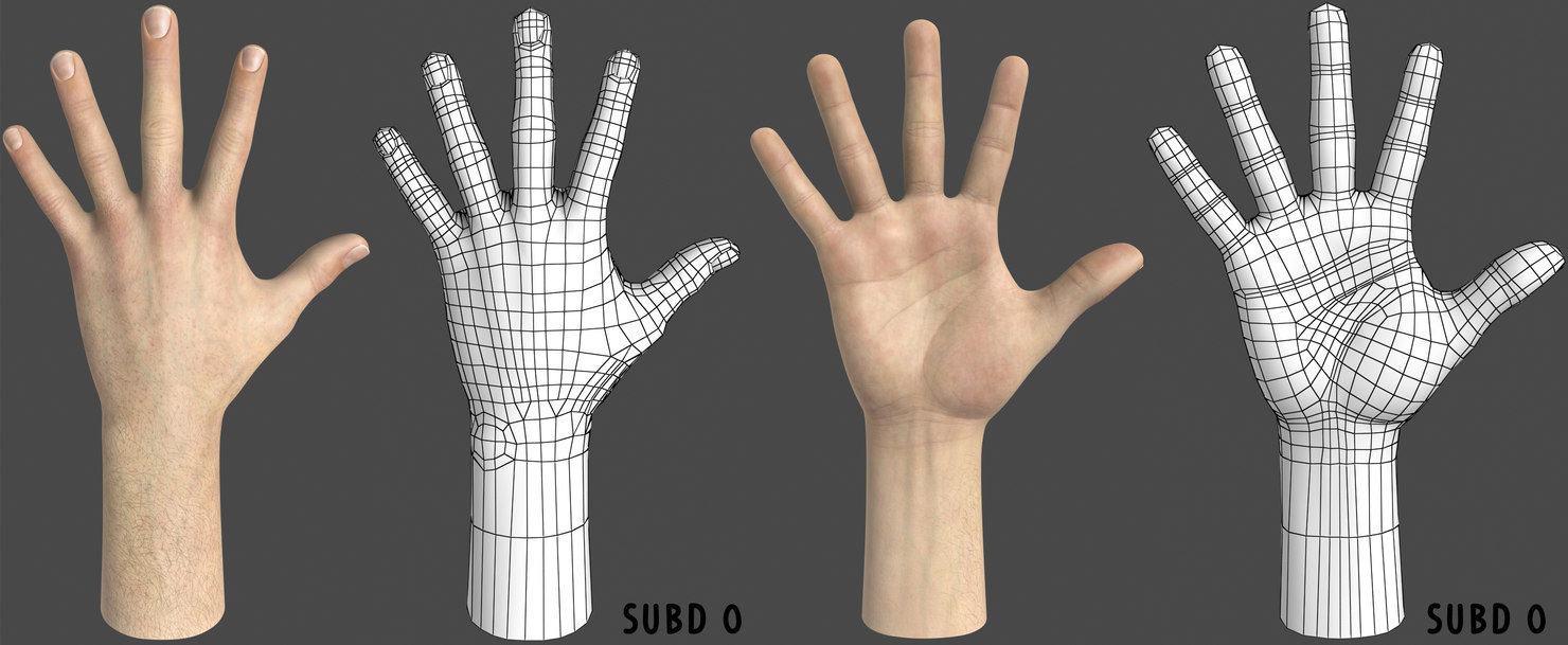 male hand modeled 3d model