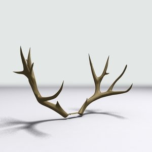 deer antlers fbx