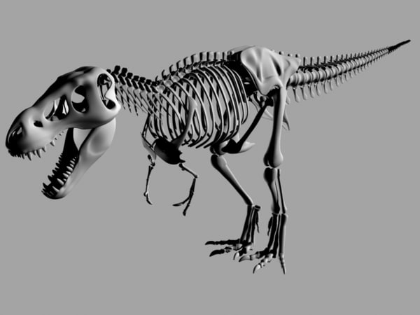 t rex skeleton model