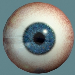 eyeball dark blue eye max