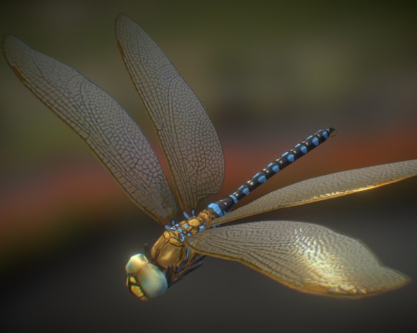 dragonfly max