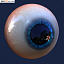 realistic human eye 3d model