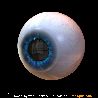 realistic human eye 3d model