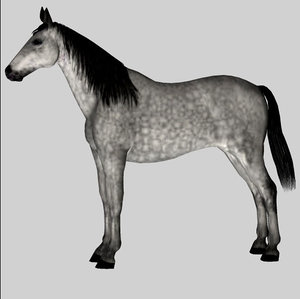 3d model of horse mare