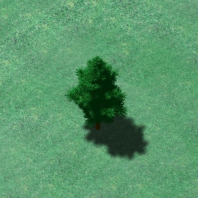 short pine tree 3d model