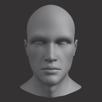 3d male head