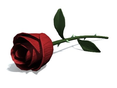 Rose Hotel