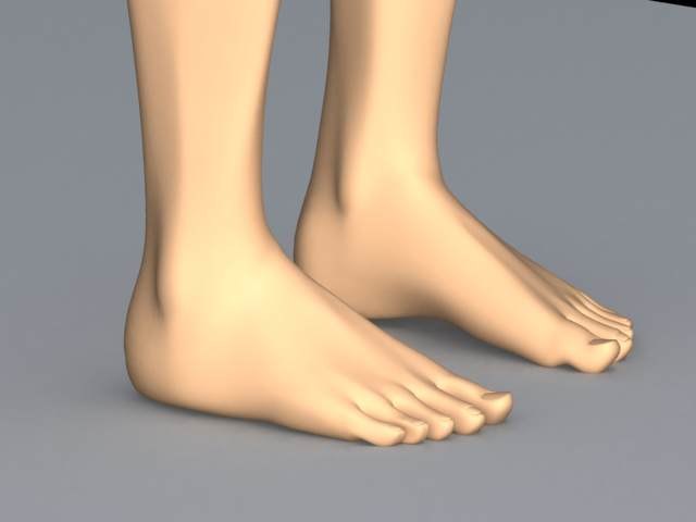 Human Feet 3d Model 7954