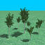 3ds grove maple trees