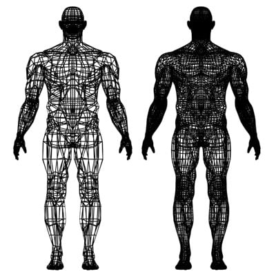 nude adult male 3d model
