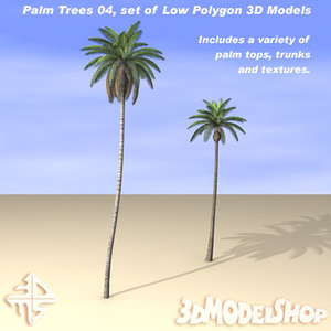 3d palm trees set
