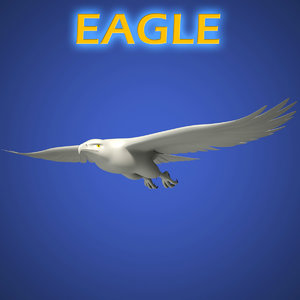 3d eagle animals model