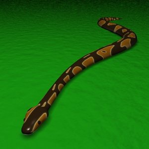 3d ball python snake