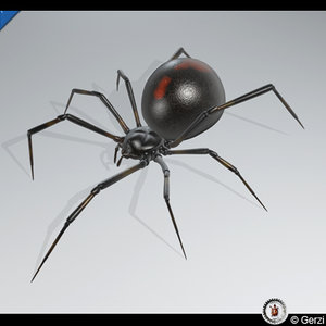 black widow spider 3d model