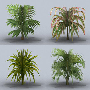 3d model tropical plants trees