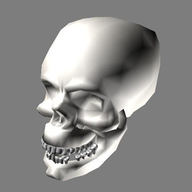 free 3d skull model zbrush