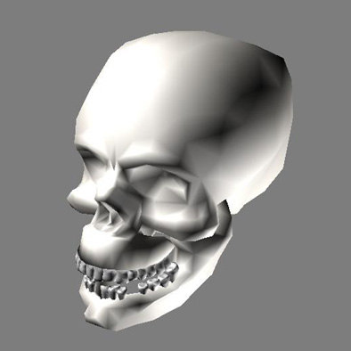 Free Skull 3d Model   Free Skull 3d Model D 