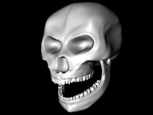 free skull 3d model