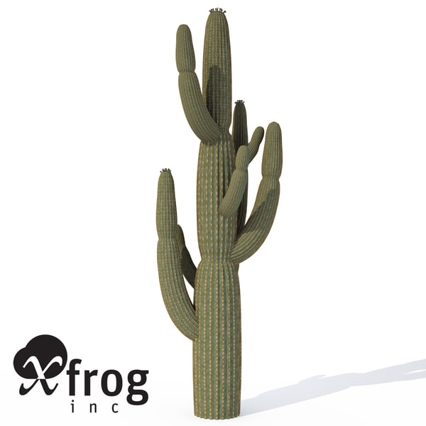 giant saguaro plant 3d model