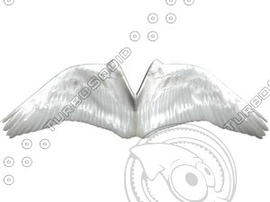 angel wings 3d model