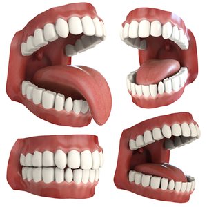 teeth animation character mouth 3d model