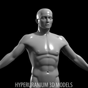human body 3d model