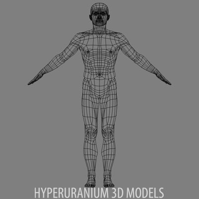 human body 3d model