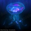 jellyfish animations 3d model