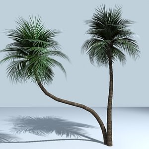 palm trees 3d max
