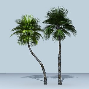 palm trees 3d 3ds