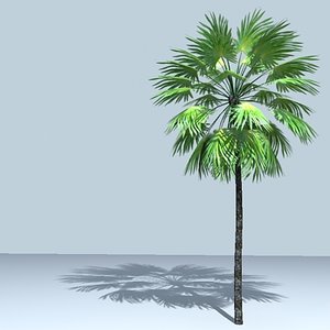 palm tree 3d 3ds