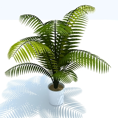 3d model palm plant