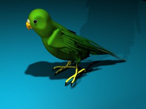 parakeet bird 3d model