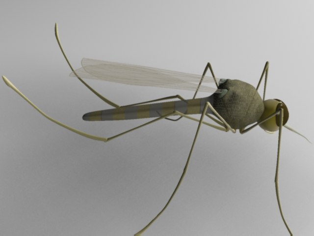 max mosquito