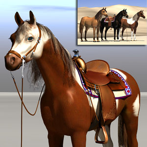 horses western riding 3d x