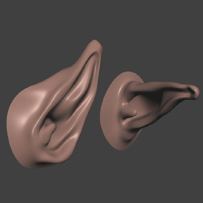 pointy ears 3d model