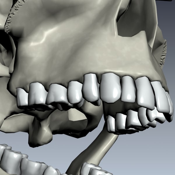 human skull exploding 3d model