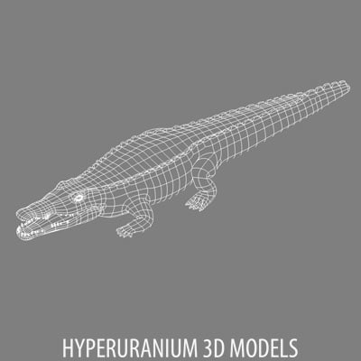 crocodile 3d model