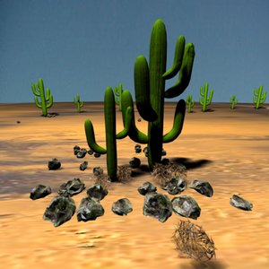 cactus tumbleweed rocks 3d model