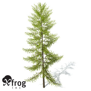 xfrogplants european larch tree 3d 3ds