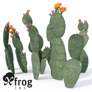 3ds xfrogplants prickly pear plant