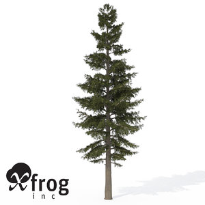 3d xfrogplants white fir tree