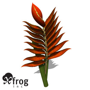 xfrogplants firebird plant bird 3d max