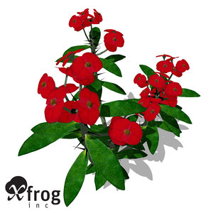 xfrogplants crown-of-thorns plant 3d 3ds