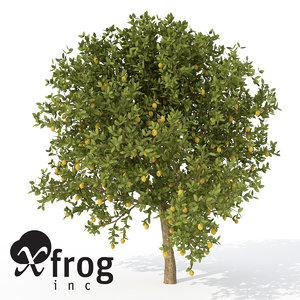 Fruit Tree 3d Models For Download Turbosquid