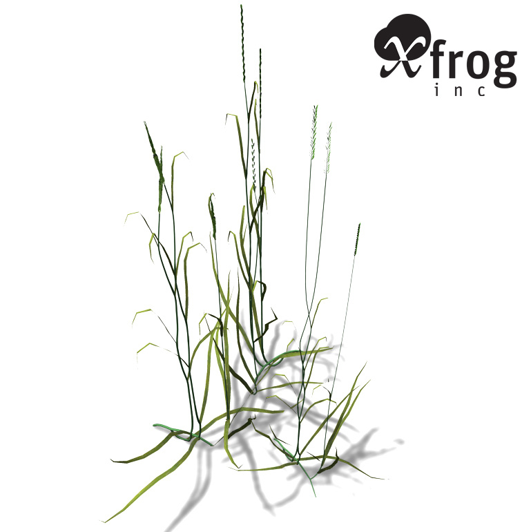Couch Grass Plants Xfrogplants 3d Model