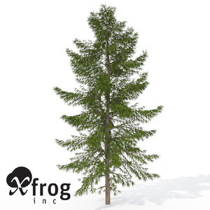 3ds max xfrogplants japanese white larch