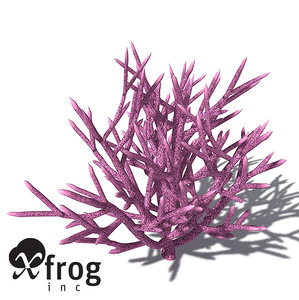 3d model xfrogplants birds nest coral